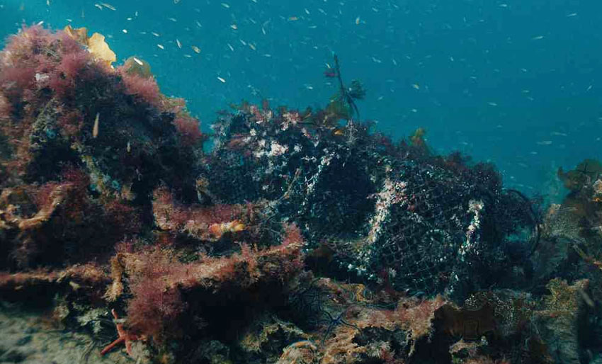 Stenger to fjorder for å rydde