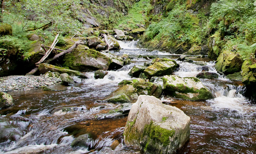 Gjødsel skader fisk og bunndyr
