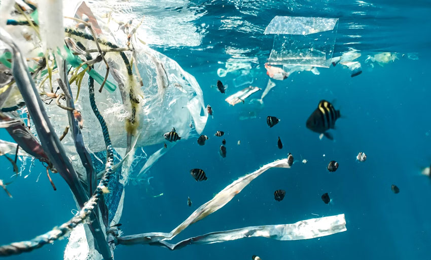 I dag er det Verdens miljødag