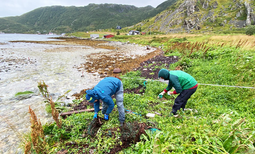 For mye søppel på norske strender