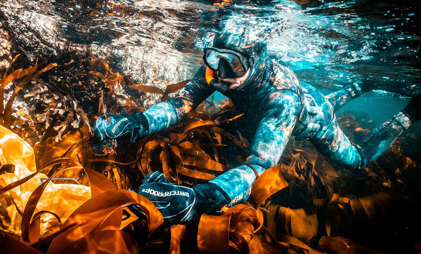 Bli med på Sjønær-festivalen