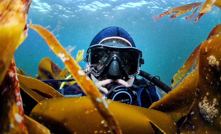 Bli med Nemo og rydd i Biskopshavn