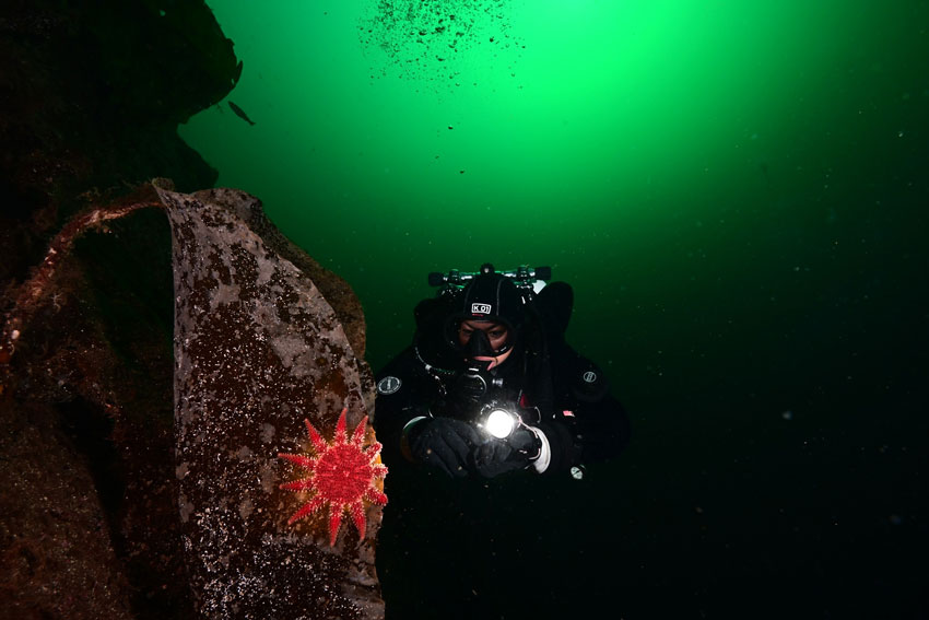 Tore Vidar Knutsmoen