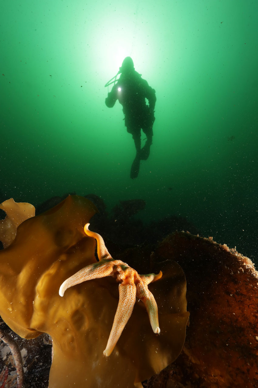 Rune Edvin Haldorsen