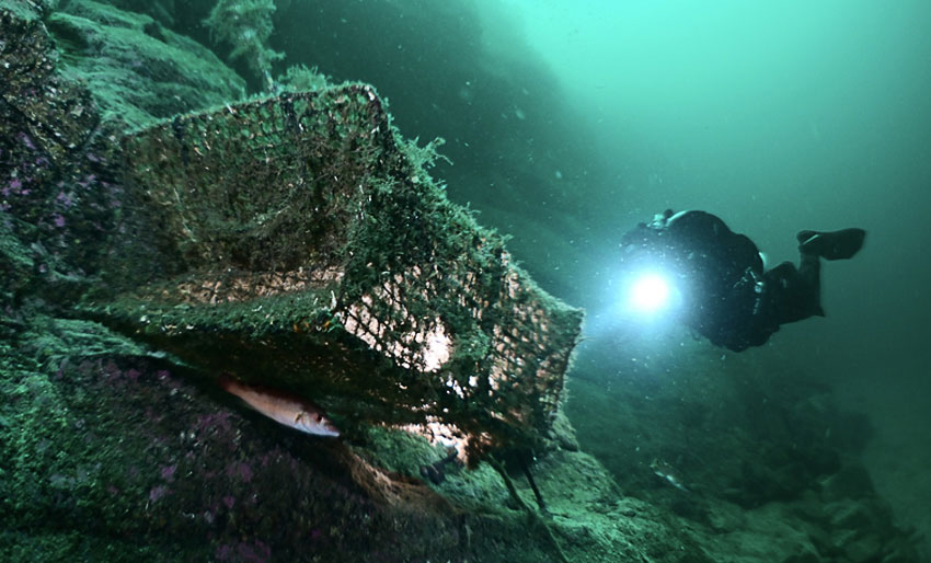 Økning i antall ryddeaksjoner