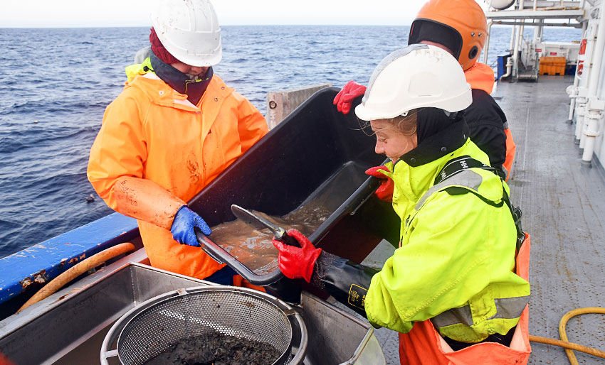 Multiconsult søker marinbiolog