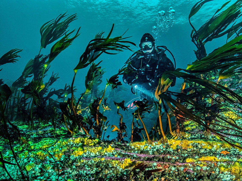 Driver Norge med juksevern?