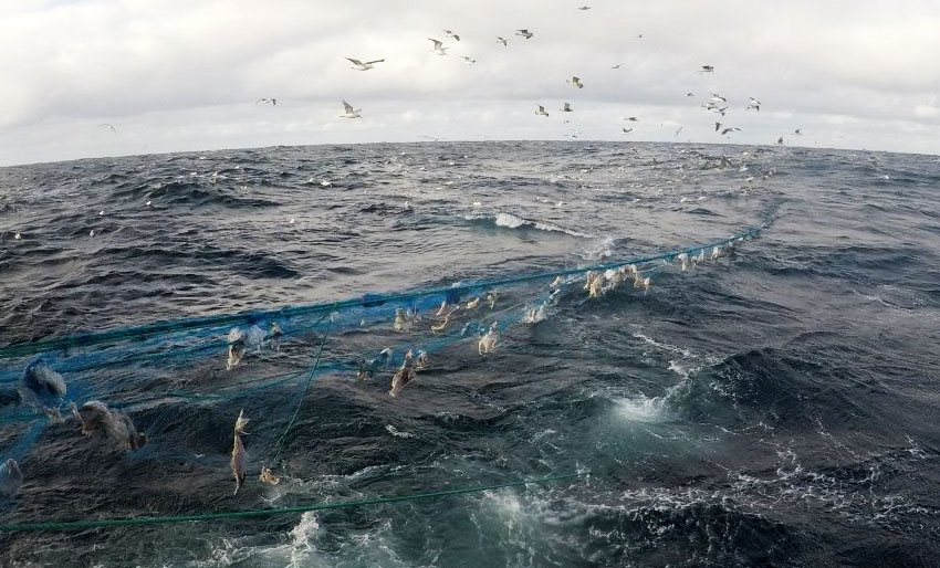 31 kilometer garn fjernet fra havbunnen