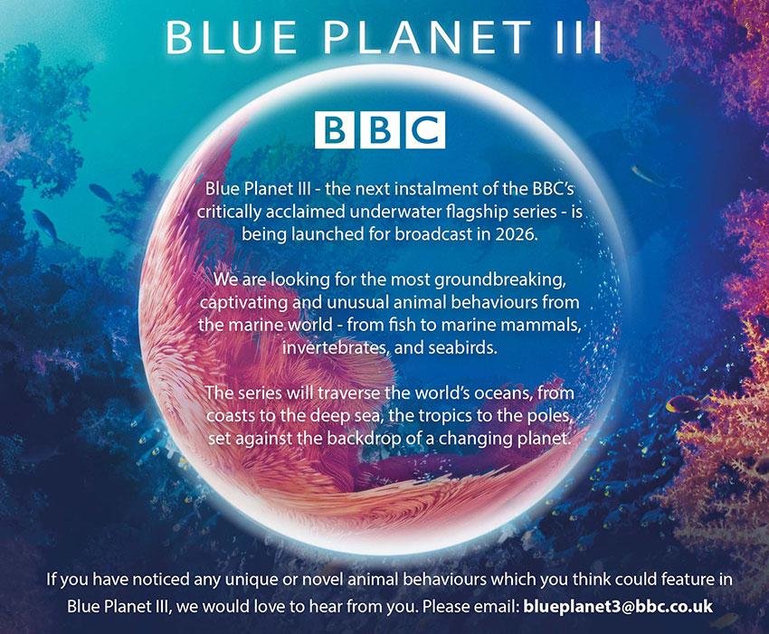 BBC