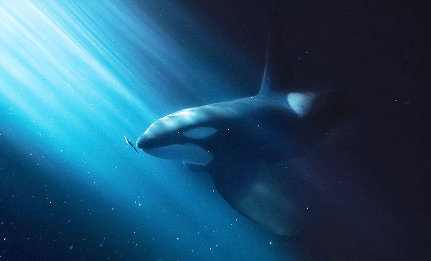 Vinn billetter til Natur&Foto-dagen