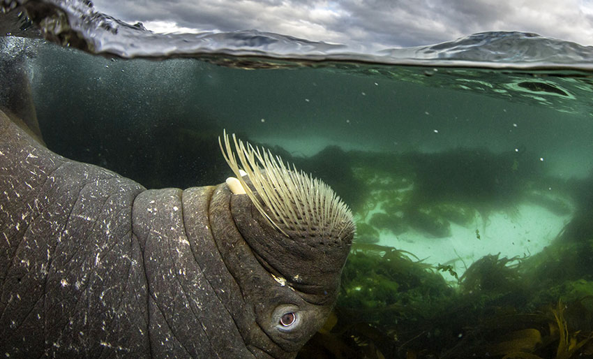 I morgen er det Natur&Foto-dagen