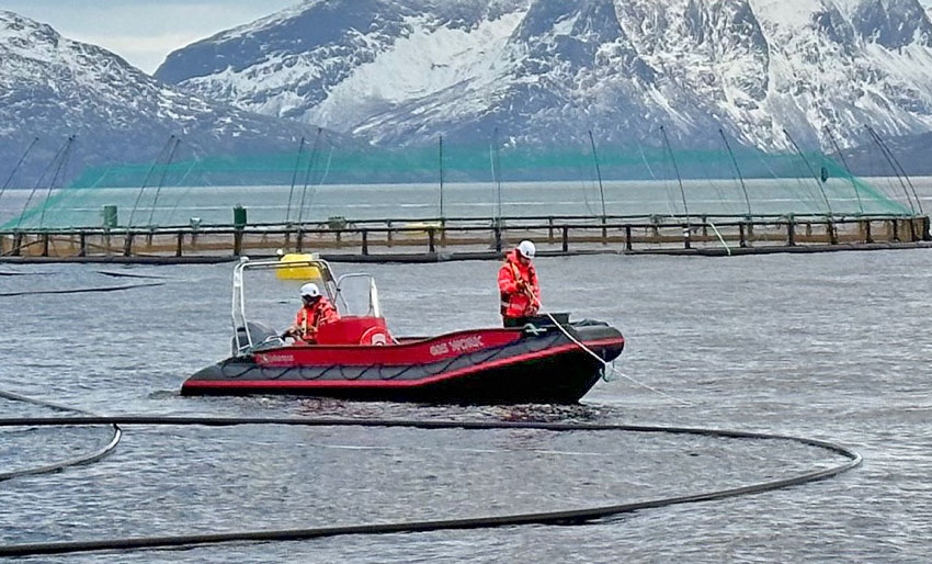 Vil kombinere laks og tare