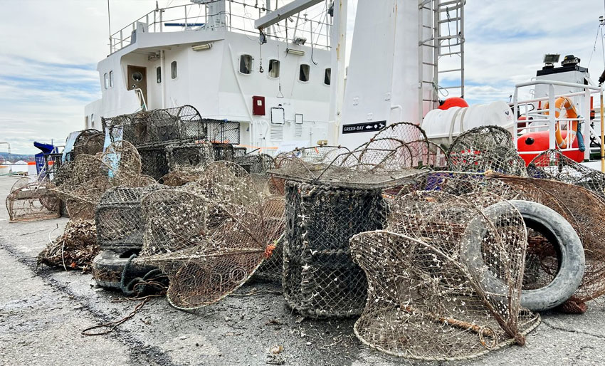 Nesten alle manglet råtnetråd