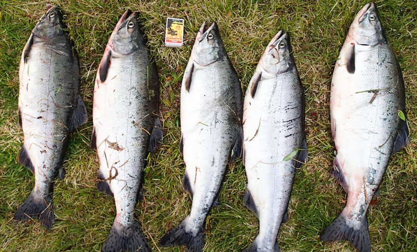 Unik mulighet for forskerne