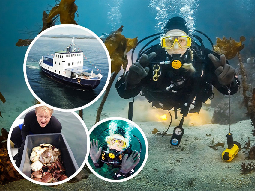 Bli med Nemo på Showboat