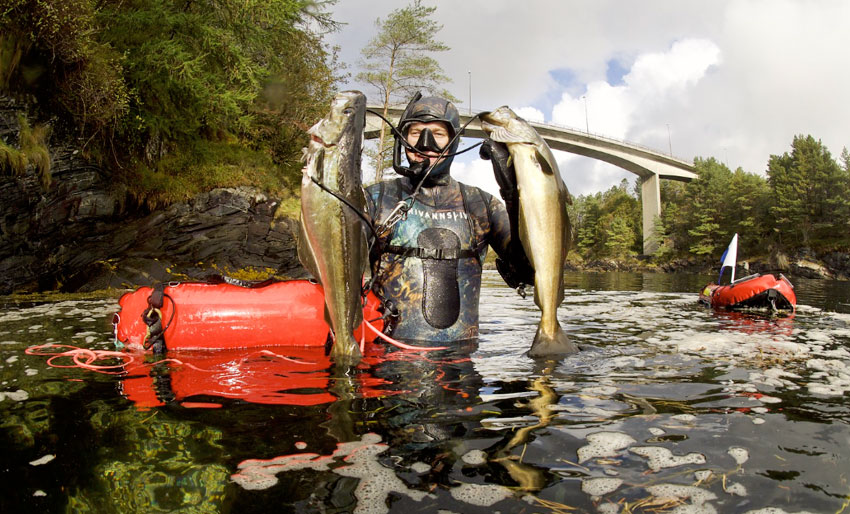 Fridykkerfestivalen 2023