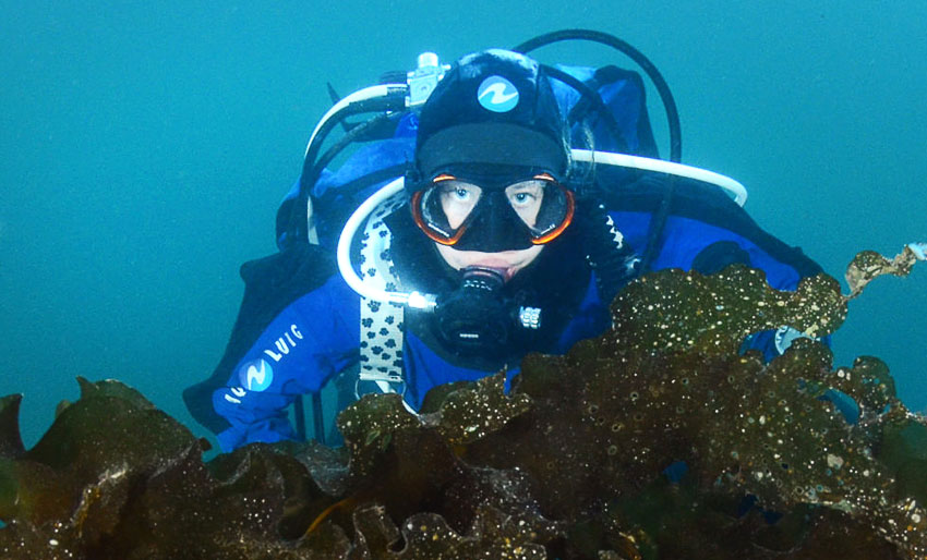 Her kan klubbene få støtte