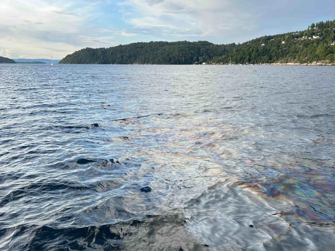 Oljesøl