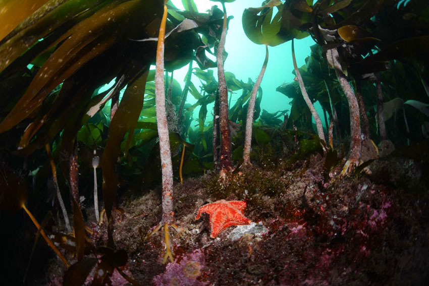 Christopher Andersen