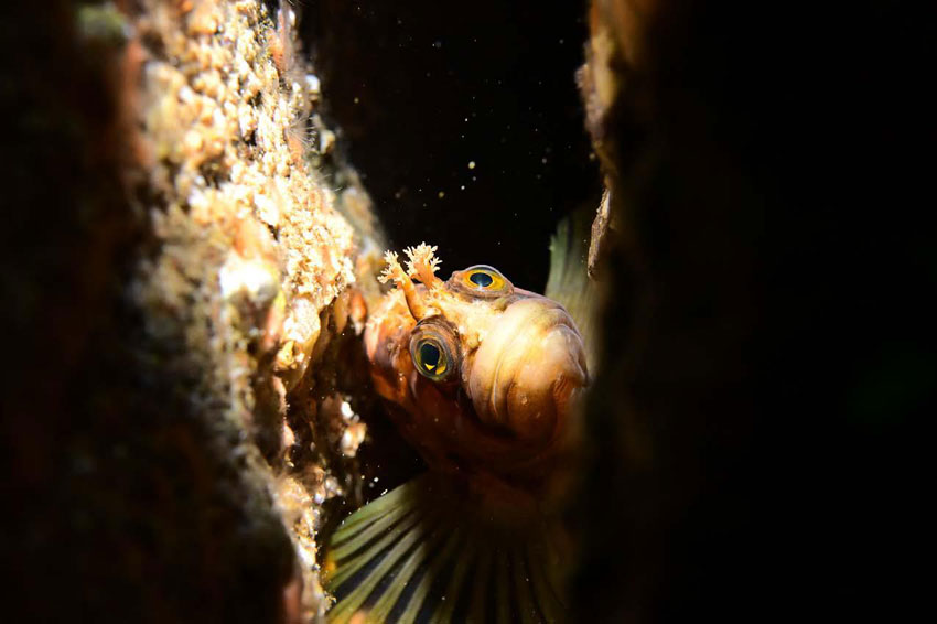 Tore Vidar Knutsmoen