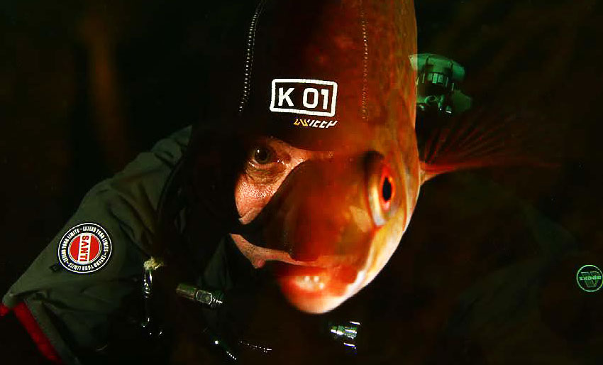 NM i UV-foto: Du er ikke en fisk