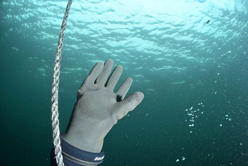 Tore Vidar Knutsmoen