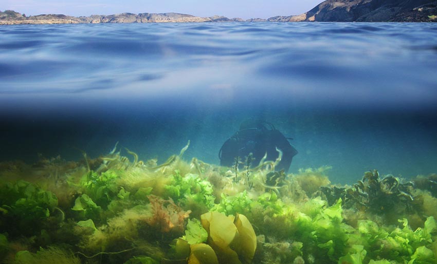 Vil ha forbud mot utslipp av kloakk