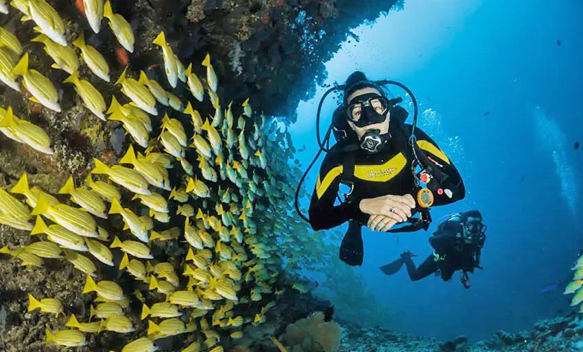 Program for Dykmässan 2024