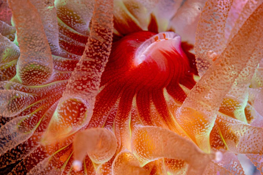 Disse var best i NM-kvaliken i fjor