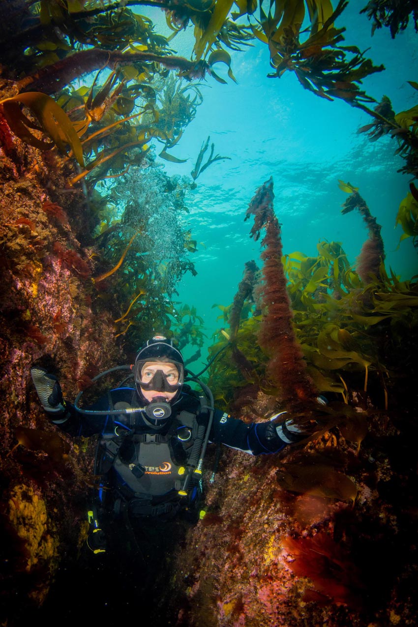 Ole Christian Meldahl