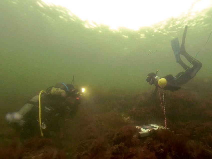 Snorkleløype