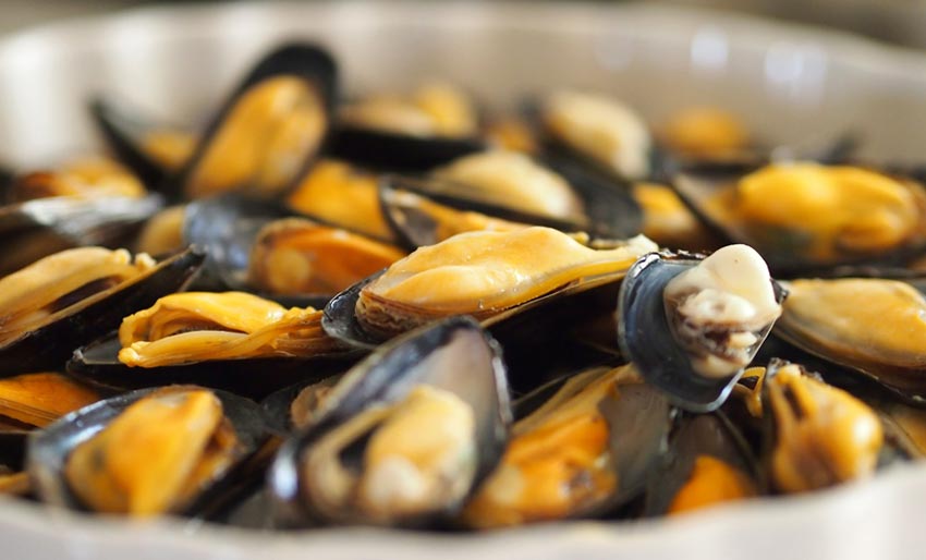 Blåskjellvarsel i ny drakt