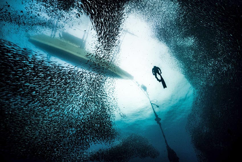 David Gonzalez vant NM-kvaliken