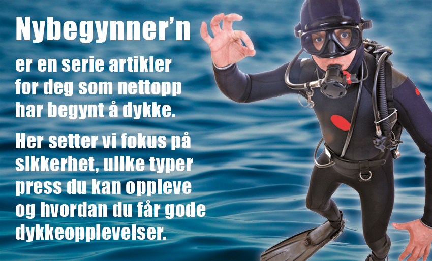 Dykker