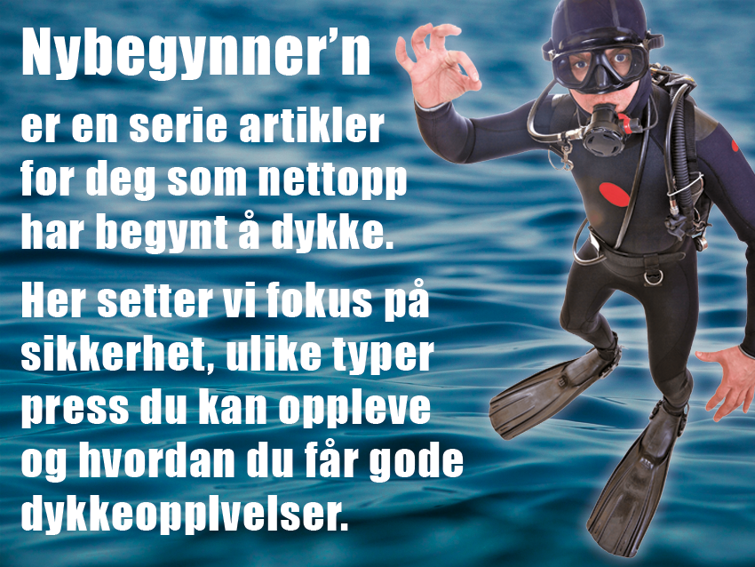 Dykker