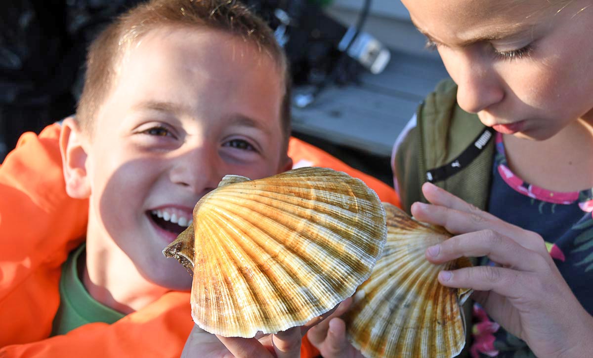 Barn med kamskjell