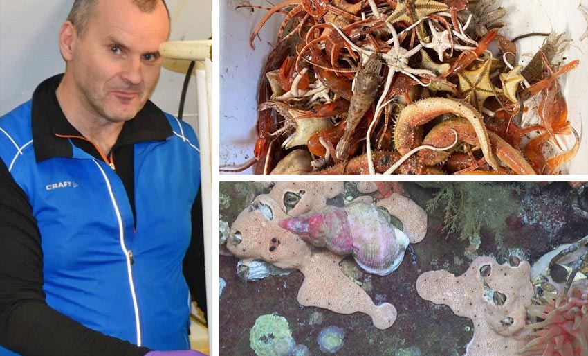Fant 70 «ekstra» arter med miljø-DNA