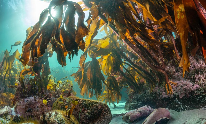 Så vakkert kan Norge være