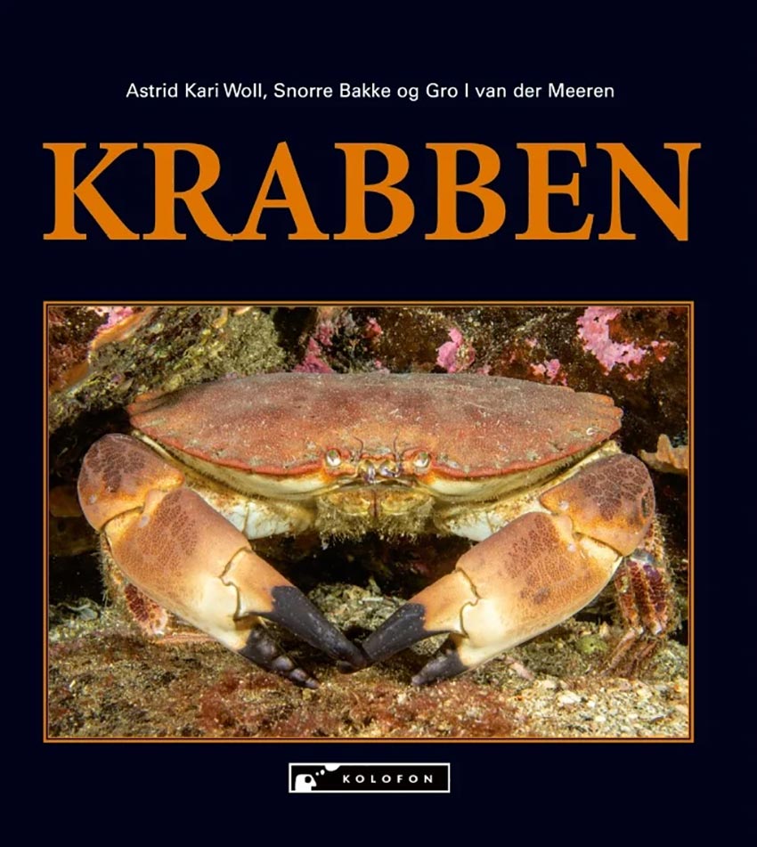 Krabben