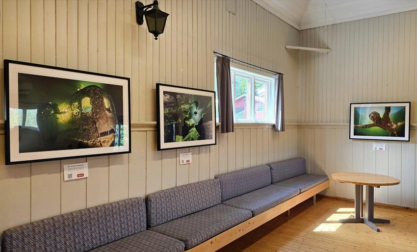 Holdt vellykket fotoutstilling