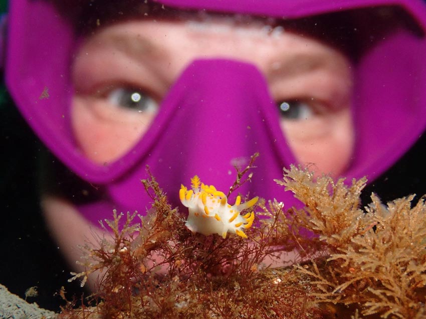 Slik gikk det i NM i UV-foto