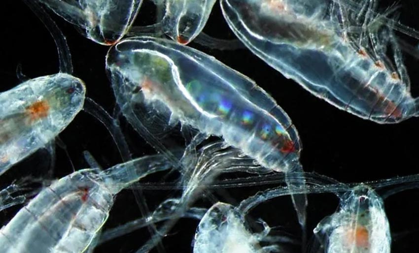 Kan ha vært feilidentifisert