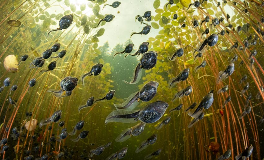 I dag er det deadline