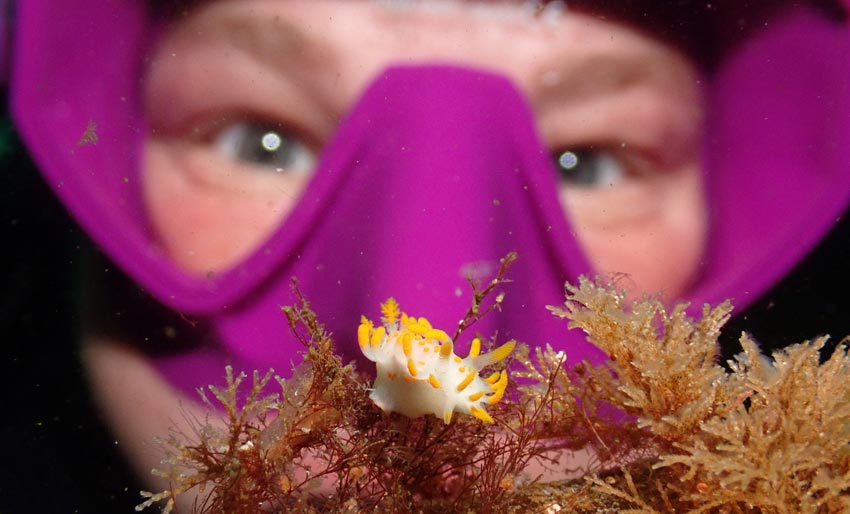 Husk fristen i NM i UV-foto!