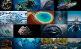 Vinnerbildene fra World Oceans Day