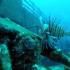 Vrak i Florida: USNS Vandenberg