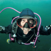 Ta Advanced-kurset hos Nemo