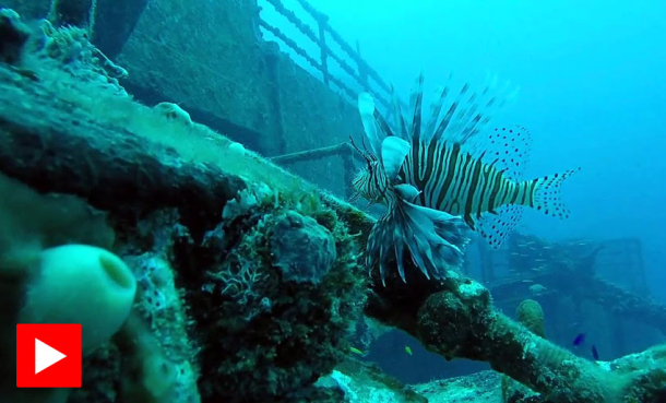 Vrak i Florida: USNS Vandenberg