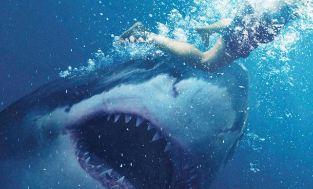 🎃 Haihorror: «Great White»