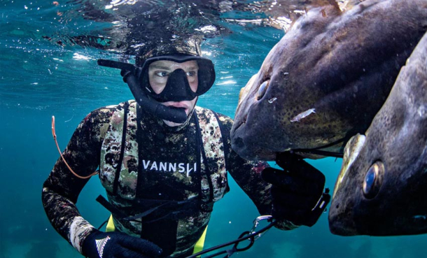 Meld deg på gratis intro til UV-jakt og sanking